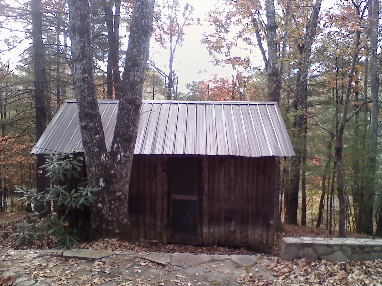 New metal gable roof on a small log shed among the trees in Maurice